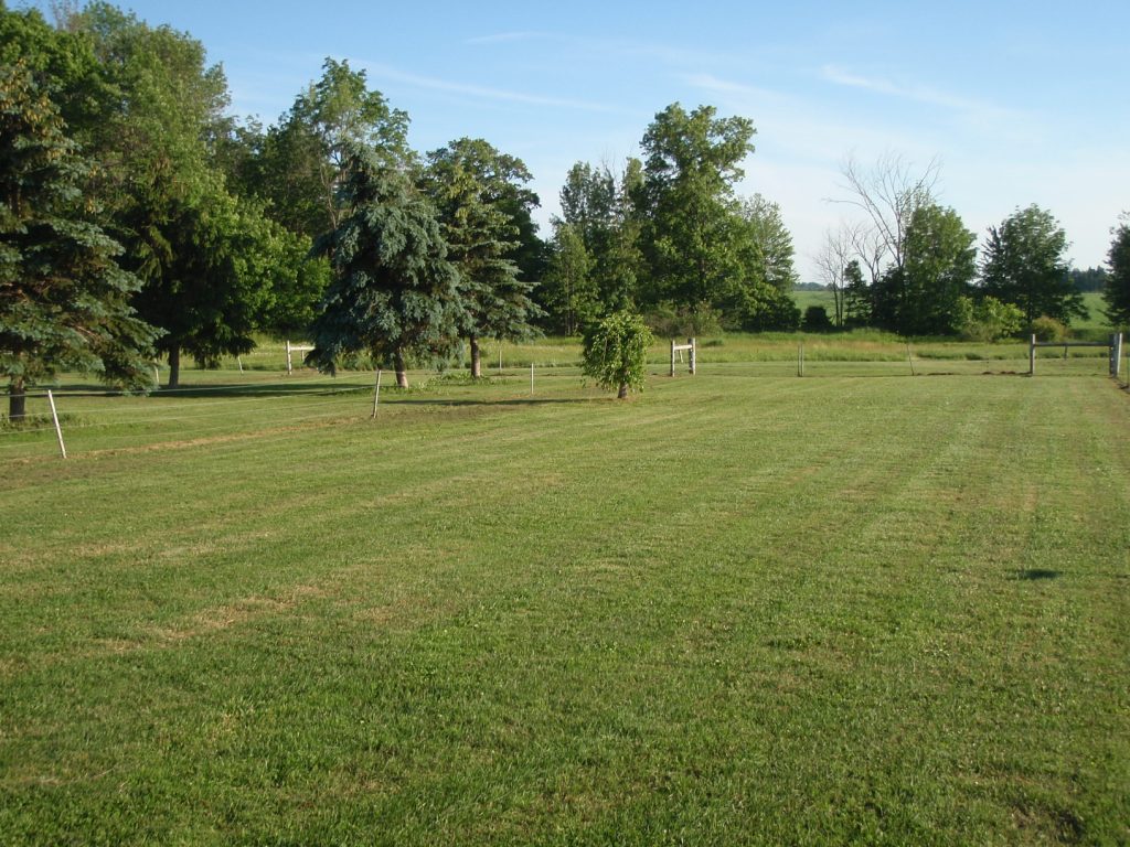 080.jpg