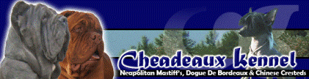 logofinish2.gif
